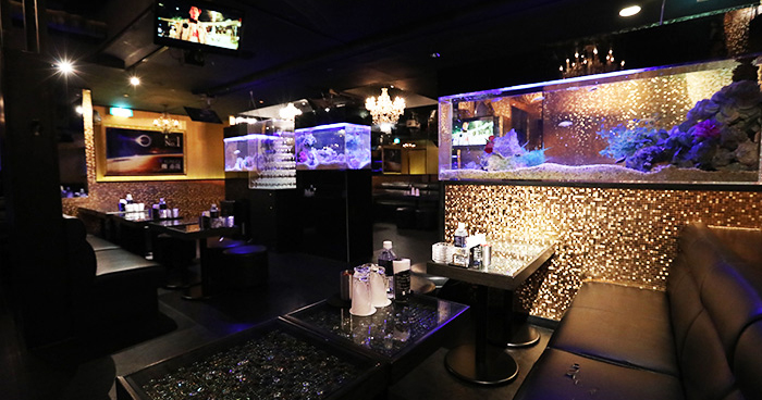 DREAM-本店-