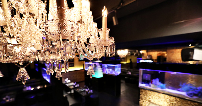 DREAM-本店-