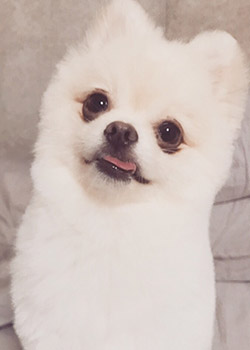 健