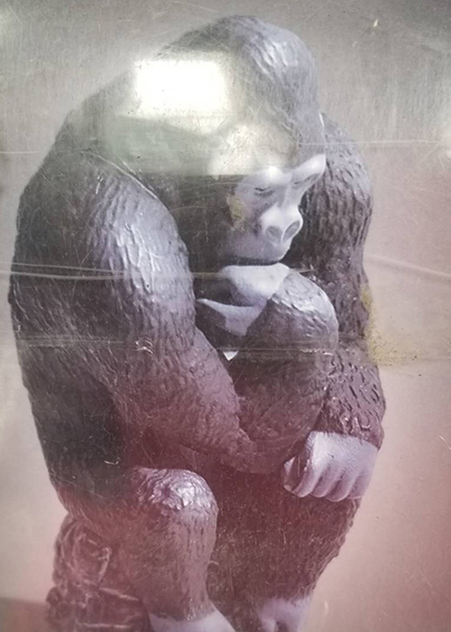 運営B